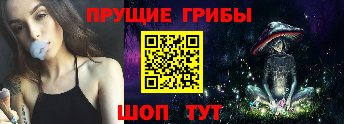 Галлюциногенные грибы Psilocybine cubensis Усинск